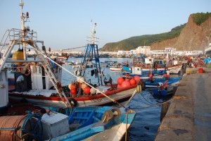افتتاح الصالون الجهوي الأول للصيد البحري وتربية المائيات sadaa-annaba
