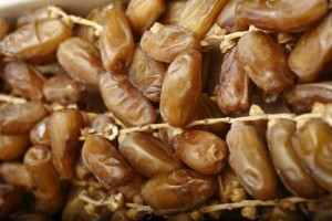 Bionoor, production de dattes fraiches biologiques en Algerie