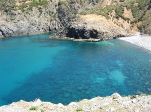 plage-el-radma-chetaibi-annaba